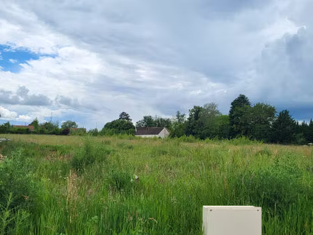 vente terrain 988 m² savigny-sur-clairis (89150)