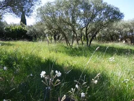 vente terrain à batir 1115 m² à bédoin (84410)  249 900 €