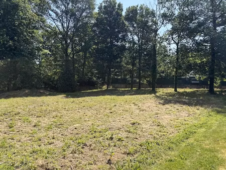 vente terrain 1048 m² à camors (56330)  115 500 €