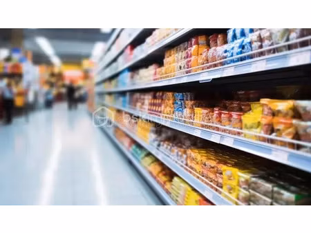 vente locaux professionnels 9 pièces 181 m² à la foux d'allos (04260)  326 000 €