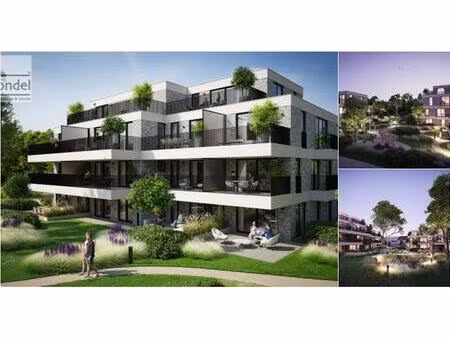 appartement à vendre à hertstraat 65 welle (rbt16697)