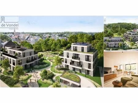 penthouse à vendre à hertstraat 65 welle (rbt16699)