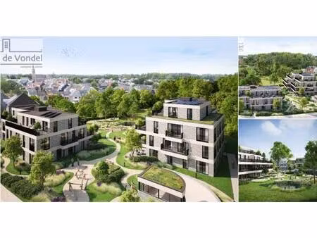 rez-de-chaussée à vendre à hertstraat 63 welle (rbt16678)