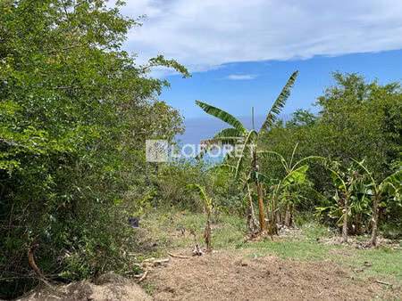 magnifique terrain à deshaies de 5094 m²