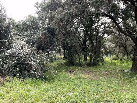 achat terrain 284m² st bres 34670