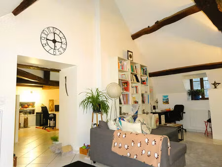 appartement 3 pièces - 99 m2 (117 m2 au sol) avec studio (13.60m2) carrez