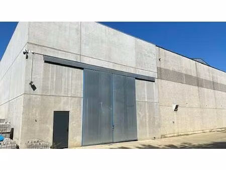 commercieel te huur in tessenderlo