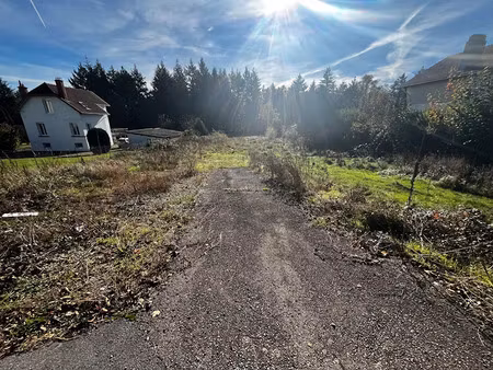 vente terrain 1900 m² à chantraine (88000)  180 000 €