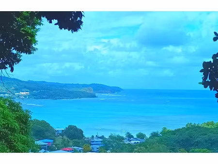 vente terrain à batir 2286 m² à la trinite (97220)  170 000 €