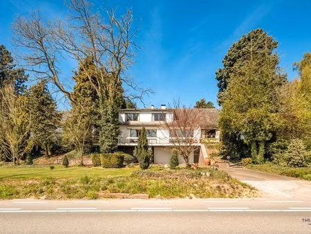 maison à vendre à sint-truiden € 660.000 (l70al) - thenaers vastgoed | zimmo