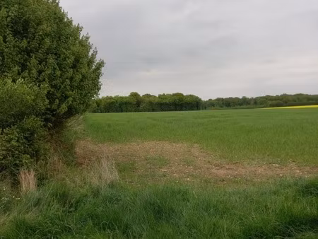 terrain à vendre de 2 924 00 m² courtemaux (45)