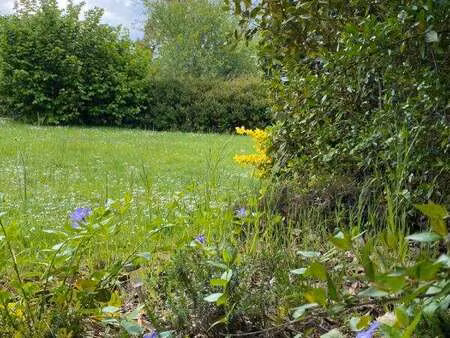 vente terrain à séné (56860) : à vendre / 521m² séné