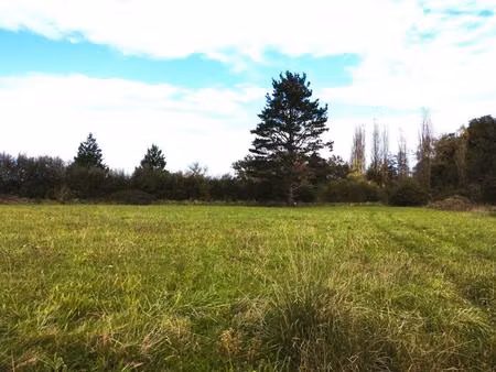 achat terrain 2 146m² ste colombe 40700