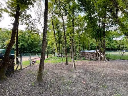 vente terrain 550 m² verrie (49400)