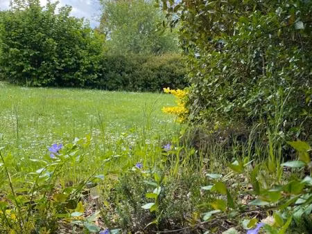 achat terrain 600m² sene 56860