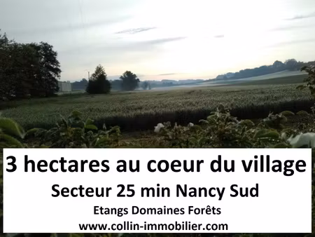 achat terrain 30 000m² nancy 54000