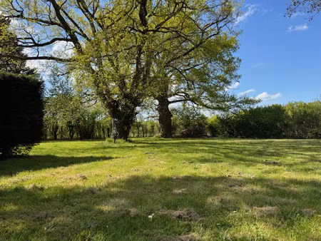 achat maison 5 pièces 84m² coudroy 45260