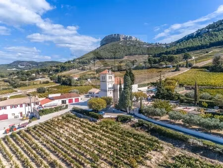 vente château 26 pièces