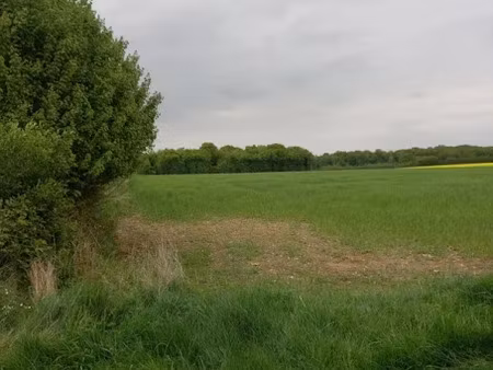 vente terrain 2924 m² à courtemaux (45320)  15 000 €