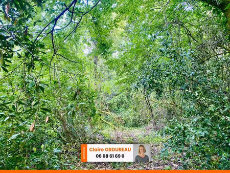 vente terrain 2300 m² à saint-caprais-de-bordeaux (33880)  14 000 €