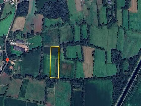 terrain à vendre à balen € 69.000 (l716a) - savemak vastgoed | zimmo