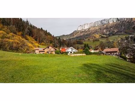 maison contemporaine avec jardin et terrasse dingy-saint-clair (74)