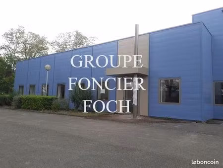 bureaux 257 m² blyes