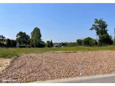 terrain constructible