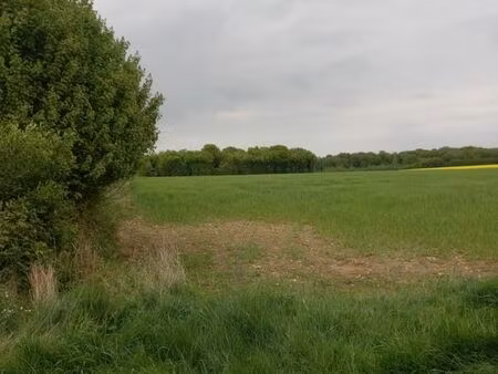 terrain 2 924 m² courtemaux