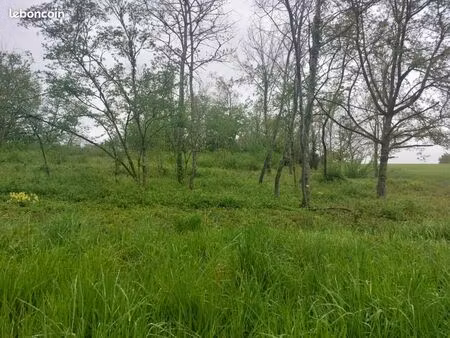 terrain 2 400 m² saint romain sur cher