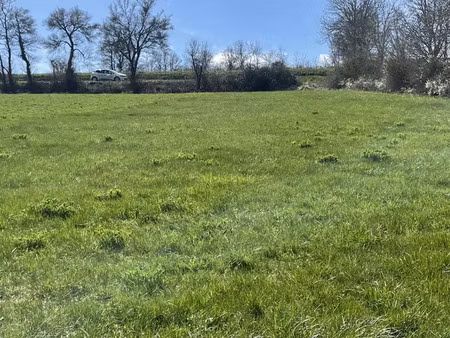 vente terrain 1430 m² à rosieres (43800)  55 000 €