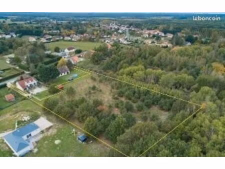 terrain constructible 7000 m² – calme & nature en sologne