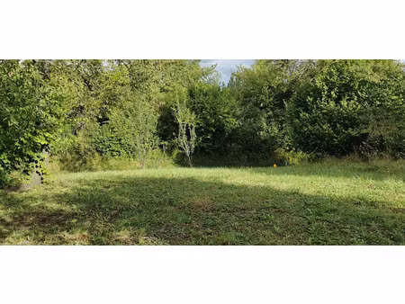vente terrain 756 m² à cusset (03300)  49 000 €