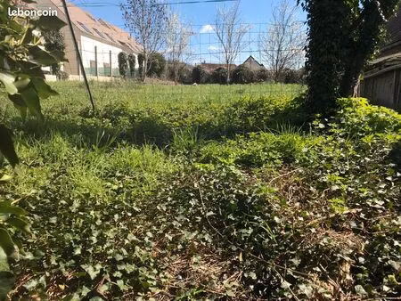 terrain a bâtir