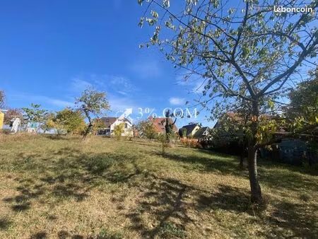 terrain 1 000 m² dettwiller