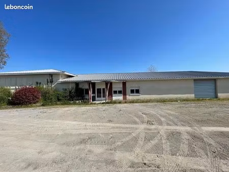 local industriel 596 m²