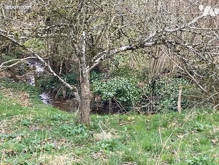 terrain 2460 m² champeon