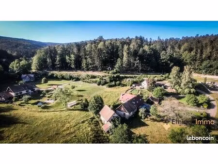 terrain 1167 m² le hohwald