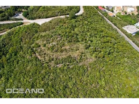 vente terrain 4120 m² blandy (91150)