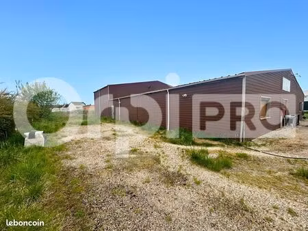 local d'activité 600 m²