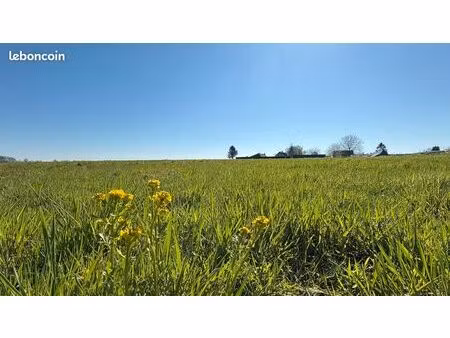 terrains à bâtir allouville-bellefosse