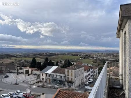 immeuble 713 m² puylaurens