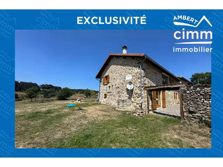 maison mitoyenne en pierre rénovée avec jardin