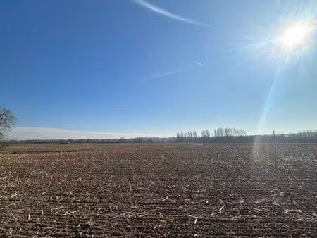 superbe terrains de 5ares