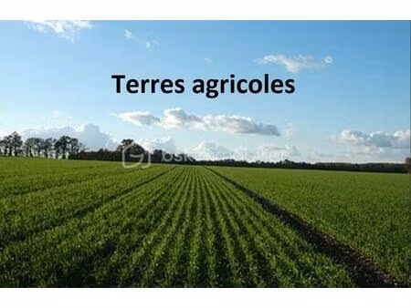 terrain de 100 000 m² à sort-en-chalosse