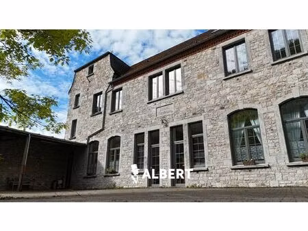 prachtig gerenoveerde ruime woning (oude school) in dinant!