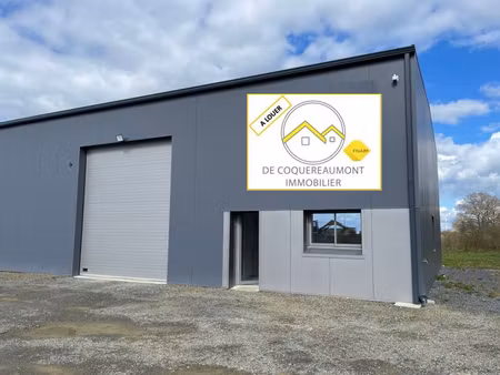 local professionnel - entrepot