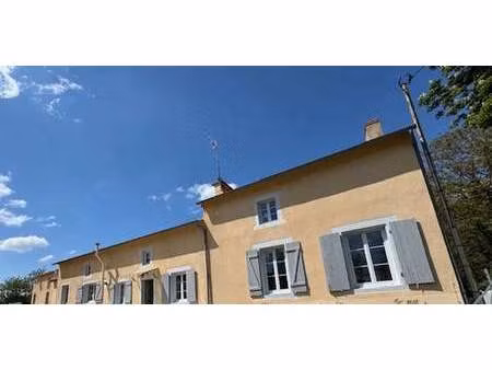 propriété avec jardin pindray (86)