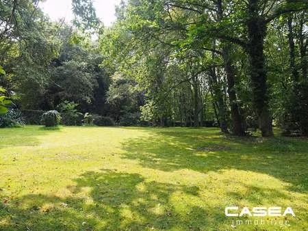 vente terrain à fouesnant (29170) : à vendre / 7694m² fouesnant