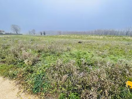 vente terrain 650 m² viré (71260)